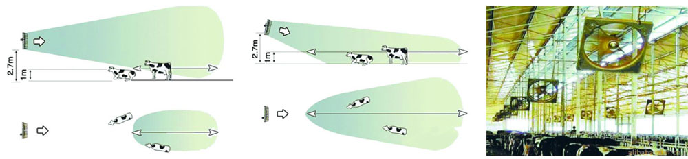 牛舍風(fēng)機(jī)